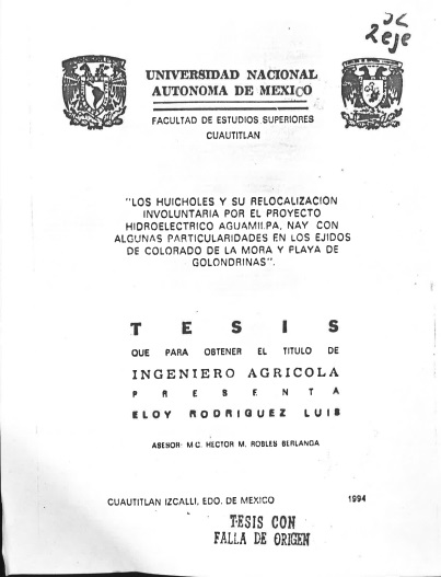 Cover page of Thesis Rodríguez Luis