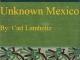 Unknown Mexico, Volume I
