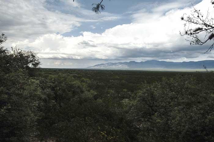 Altiplano potosino, fotografía Joaquín Urrutia