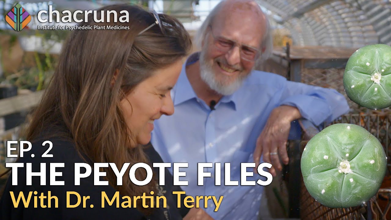 The Peyote Files Episode 2