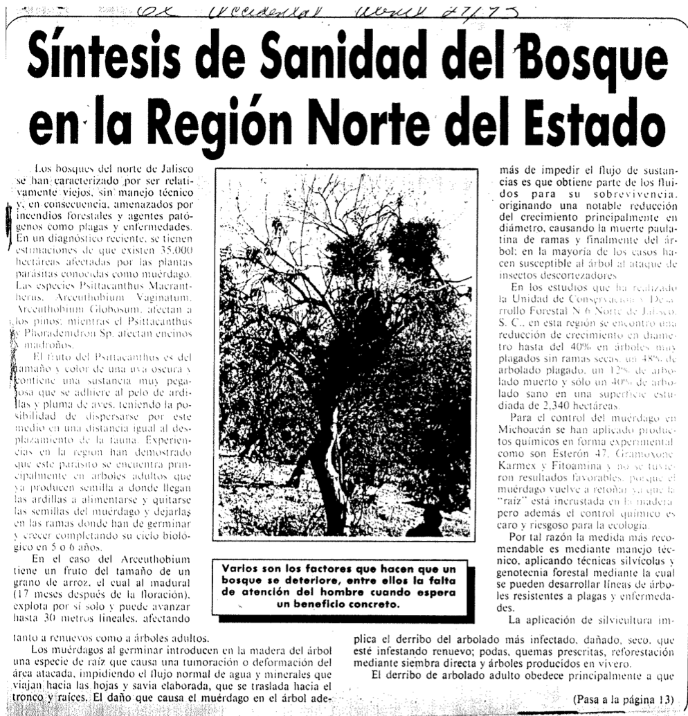 Síntesis de Sanidad del Bosque