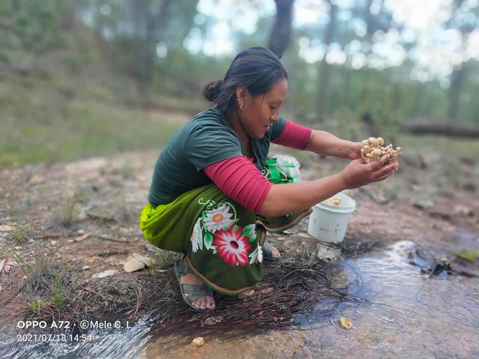A Wixárika woman washes freshly harvested mushrooms in a stream. Photograph ©Mele Carrillo López