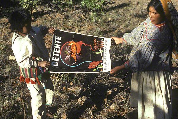 Compaña anti narcotico en la sierra - Fotografía ©Juan Negrín 1980