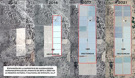 Diagram showing the expansion of greenhouses in Wirikuta between 2012 - 2021
