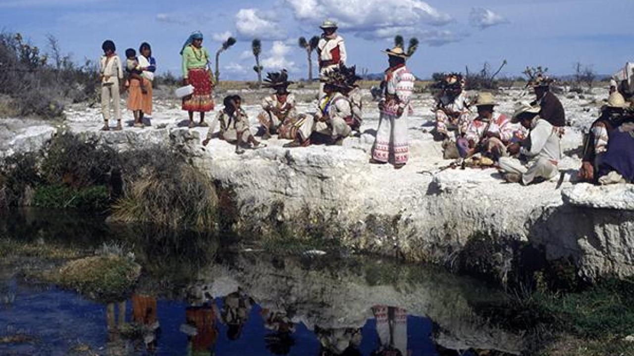 Tuimayau ~ ©Juan Negrín 1990