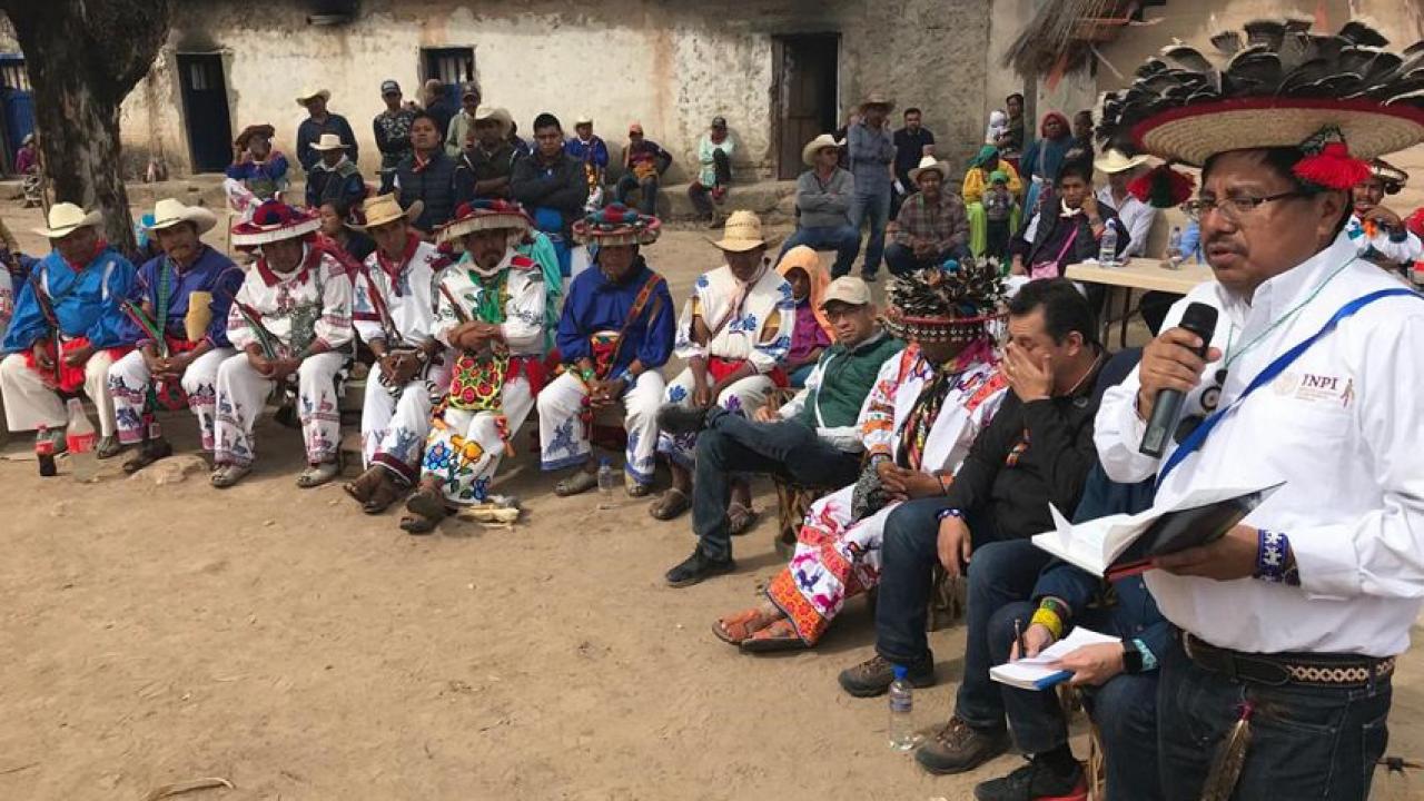 Wixárika community recovers 25% of ancestral lands in Nayarit