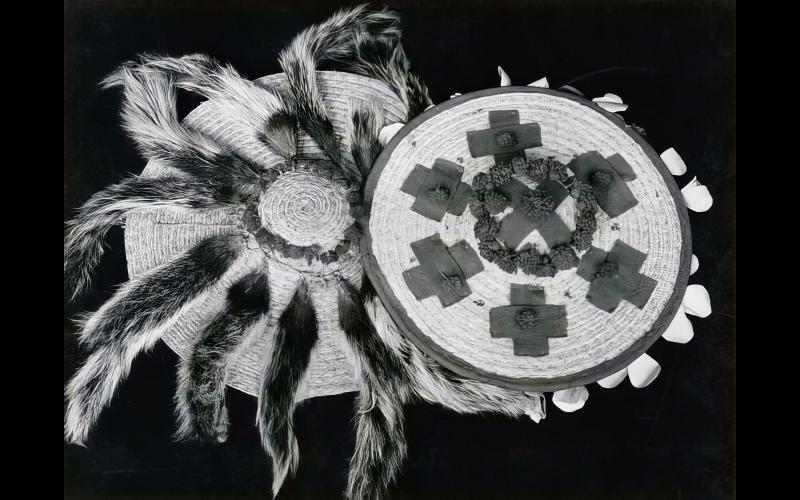 Photo by Edwin Forgan Myers