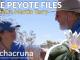 The Peyote Files Episode 1