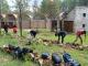 Tamaatsi Páritsika students build a stone wall around their new campus 2024