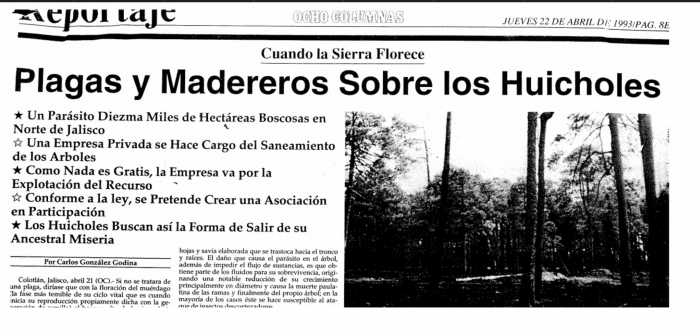 Plagas y madereros 1993