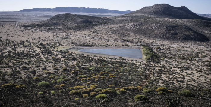 Wirikuta, foto por Pedro Anza Cuartoscuro