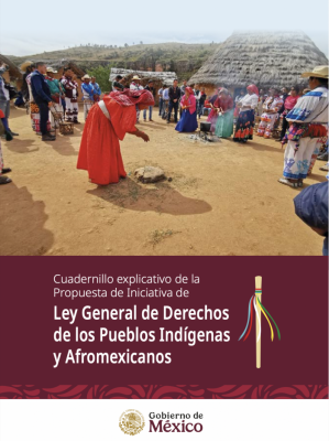 Cuadernillo Ley Indigena y Afromexicana