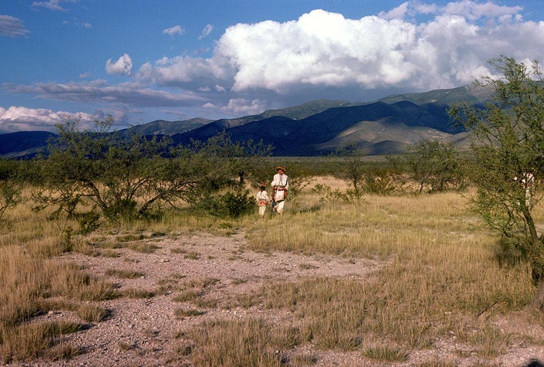 Yauxali and his son walk in Wirikuta - Photograph ©Juan Negrín 1978-2018