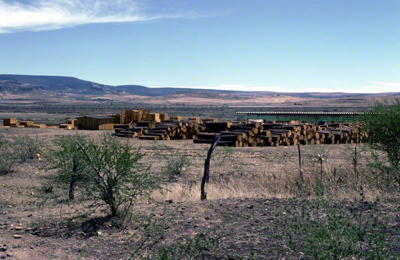 Clandestine Sawmill, 1981 - Photograph ©Juan Negrín 1981